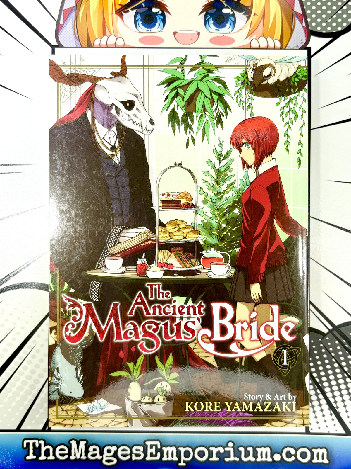 The Ancient Magus Bride Vol 1