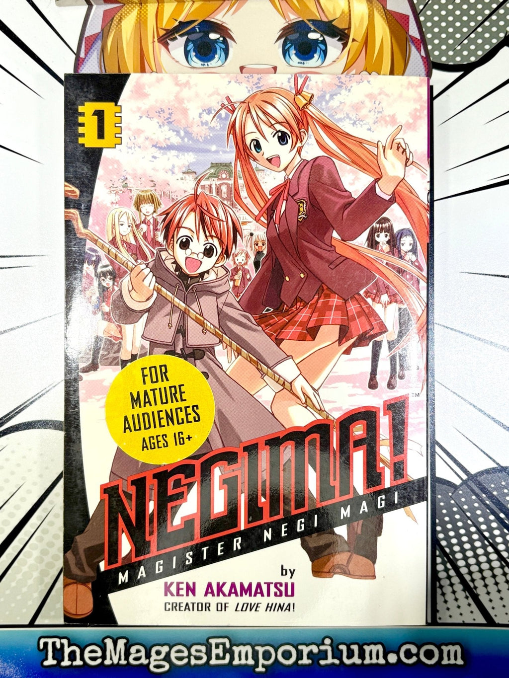 Negima! Magister Negi Magi Vol 1